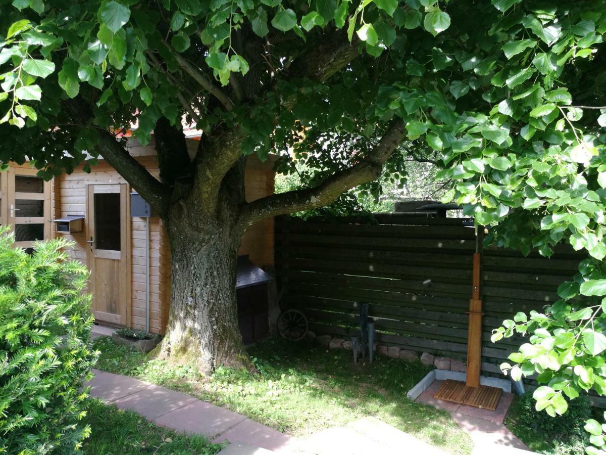 Ferienhaus Glucksmoment Grasellenbach Exterior photo